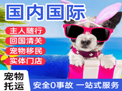 临沂航空物流国际宠物托运 【国
